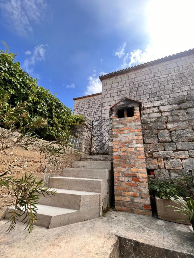 Apartment Antonia