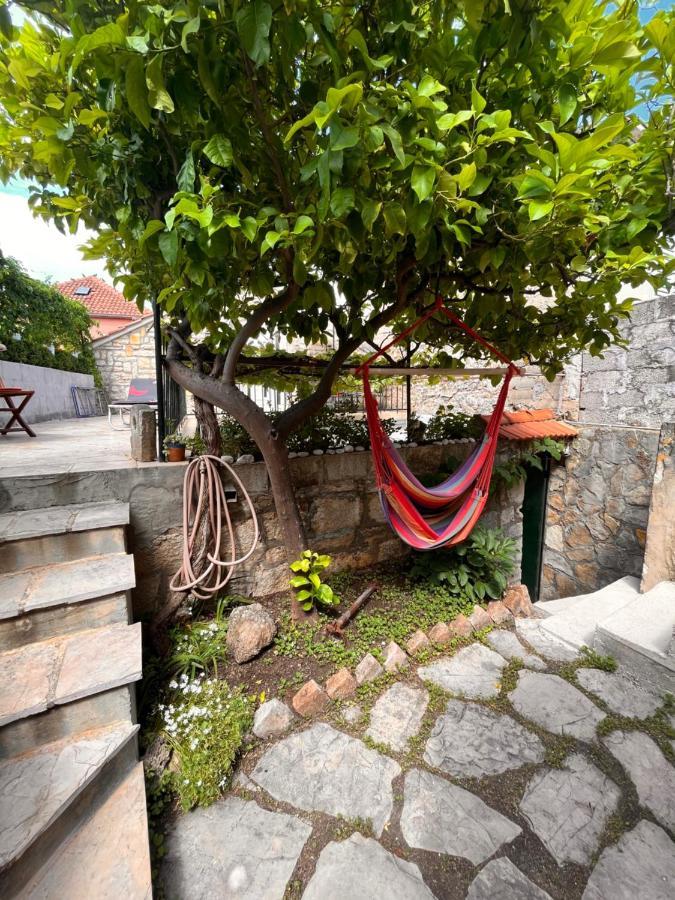 Apartment Antonia *