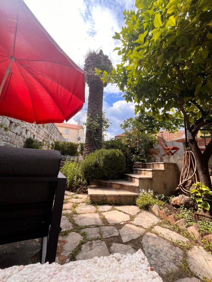 Antonia Apartment